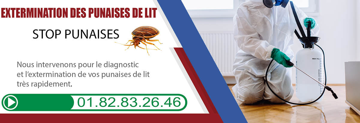 Punaises de Lit Fleury Merogis 91700